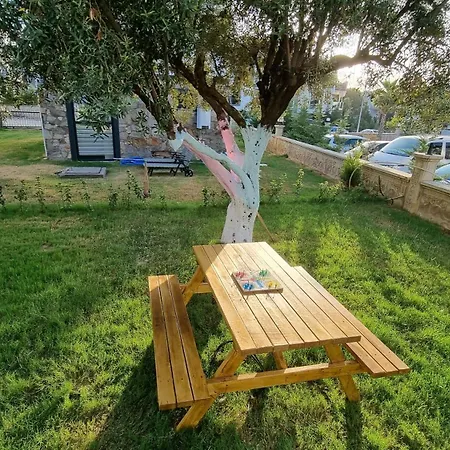 Begonvil Kusadası